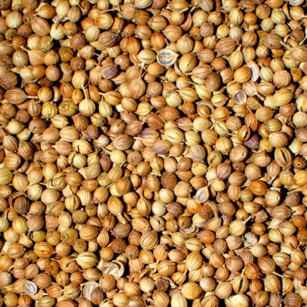 Coriander Seeds