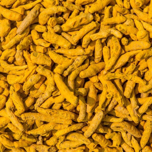 Turmeric finger, Polished turmeric, selam, lakadong, exporters in india